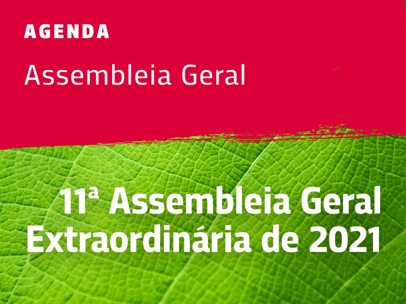11ª Assembleia Geral Extraordinária de 2021