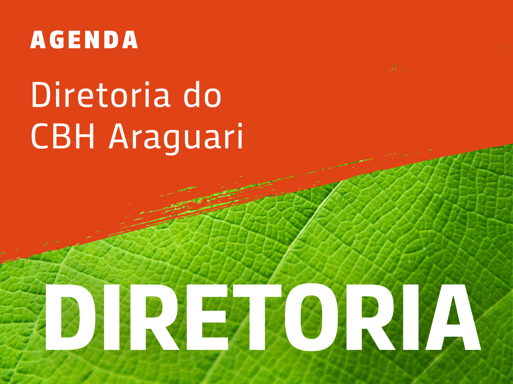 2ª Reunião Extraordinária de Diretoria de 2022 do CBH Araguari 