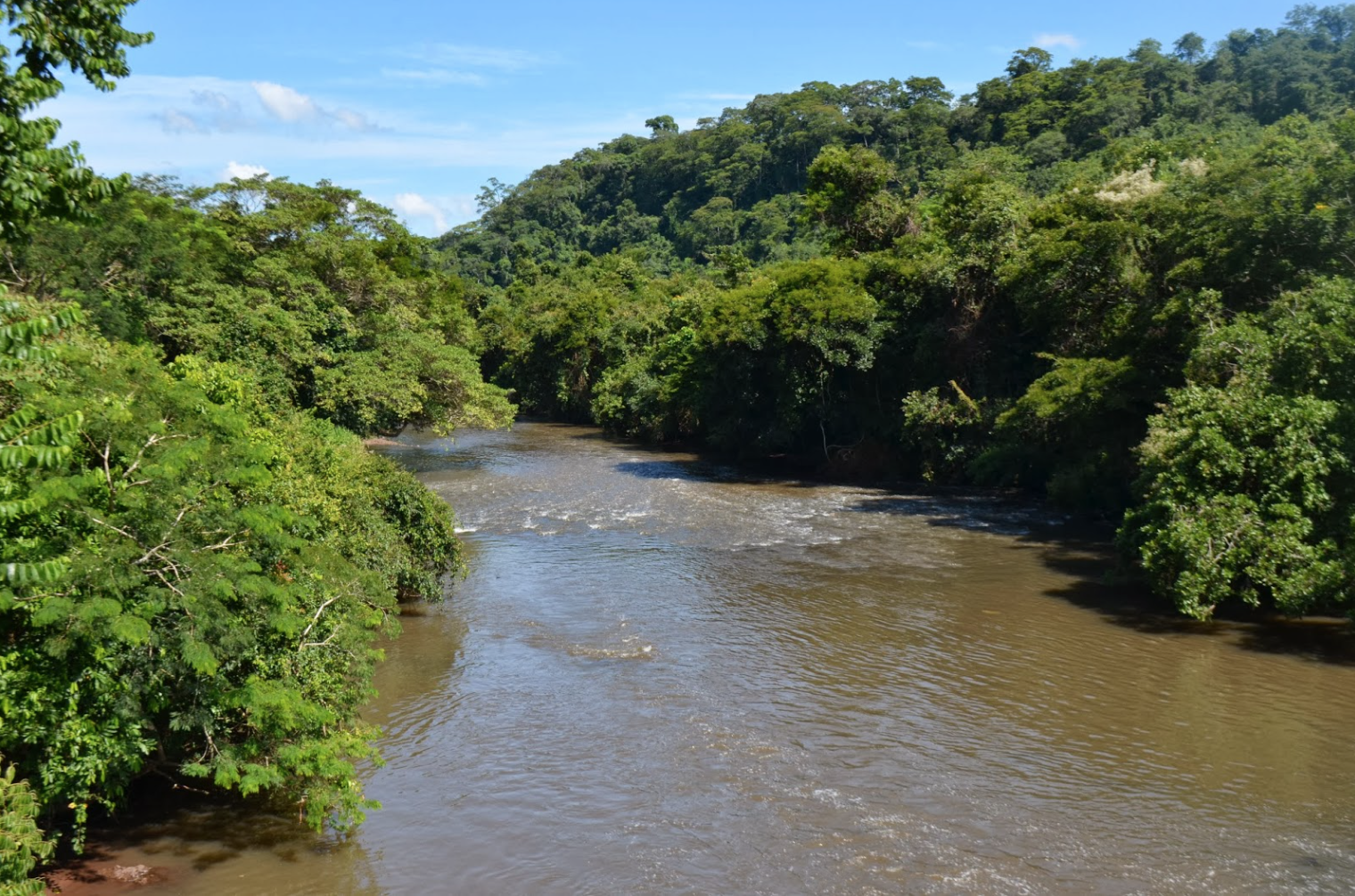 Metodologia para revisão da Cobrança na Bacia do Araguari passa por análises finais 