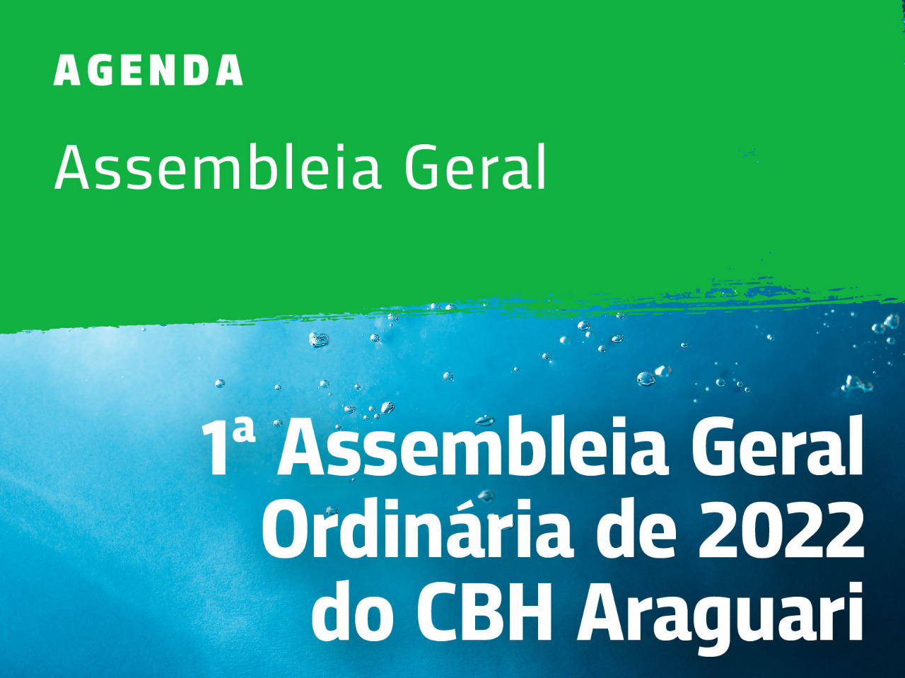 1ª Assembleia Geral Ordinária de 2022 do CBH Araguari