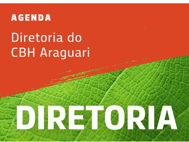 3ª Reunião Extraordinária de Diretoria de 2022 do CBH Araguari 