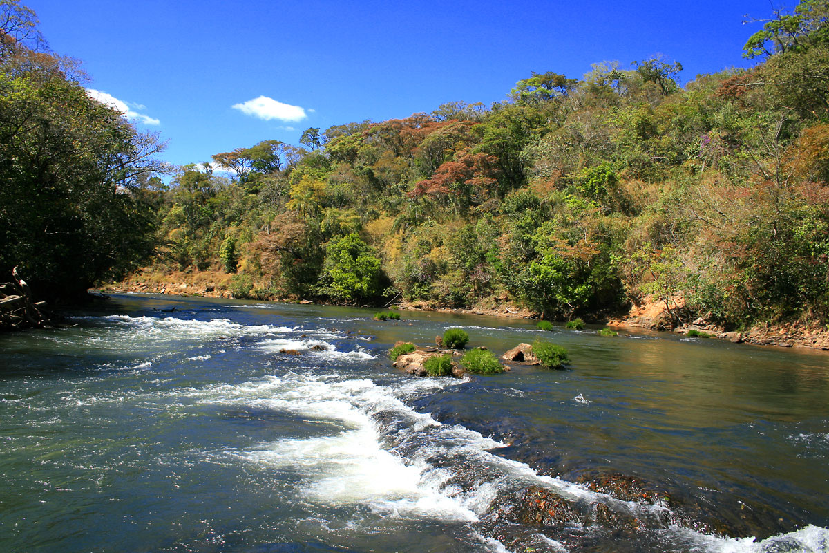 CTIL finaliza proposta para atualização do Regimento Interno do Comitê do Rio Araguari 