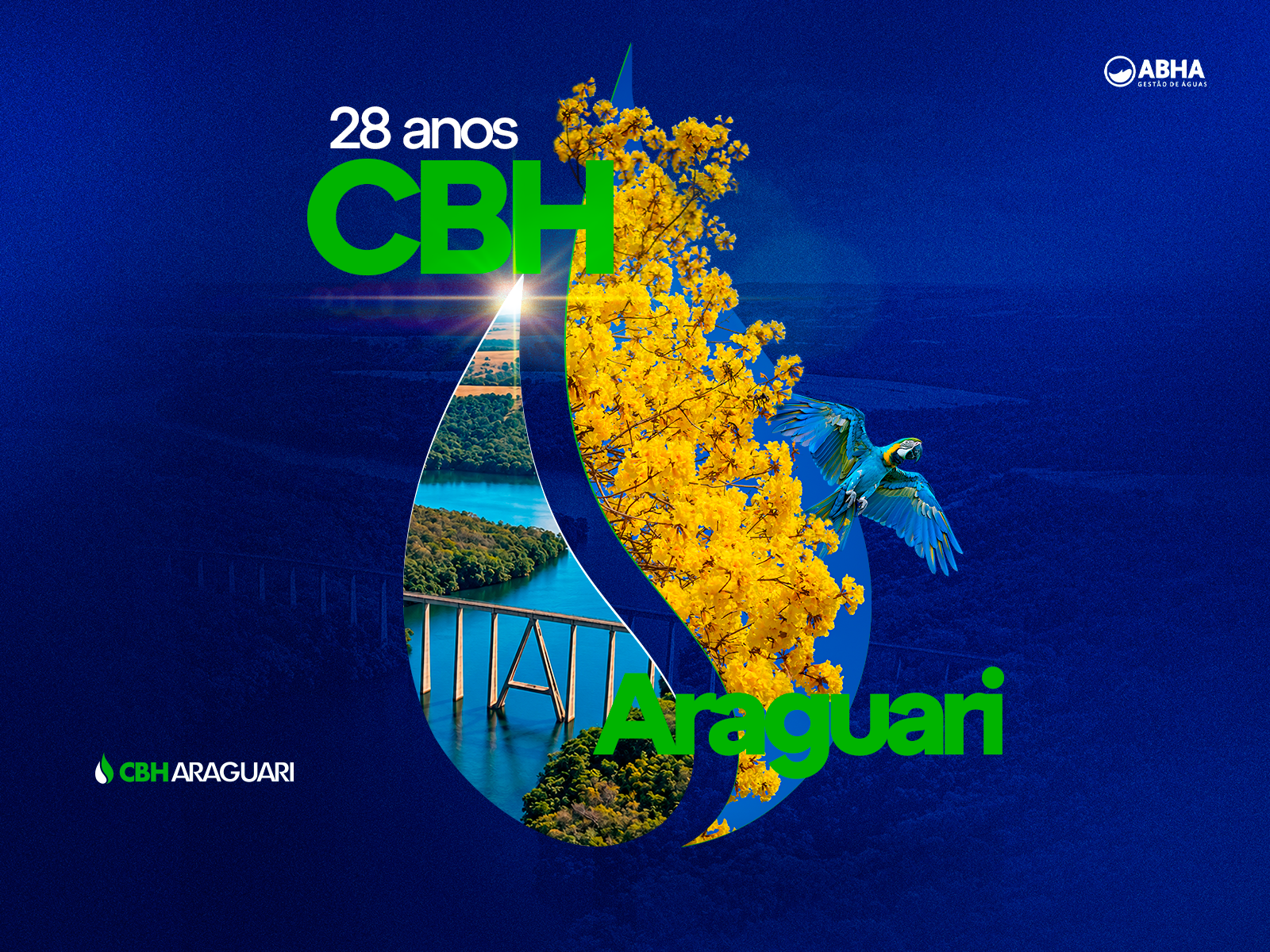 Comitê da Bacia Hidrográfica do Rio Araguari comemora 28 anos de gestão participativa e melhorias na região